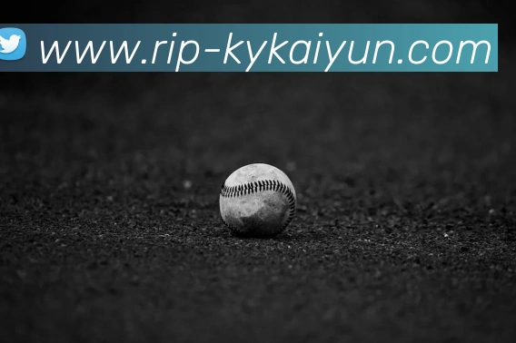 开云体育官方网站服务体系